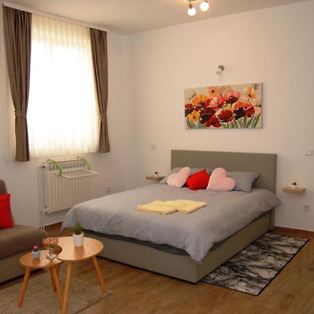 Studio Apartmani Toplicka Bajka 克拉平斯凯托普利采 外观 照片