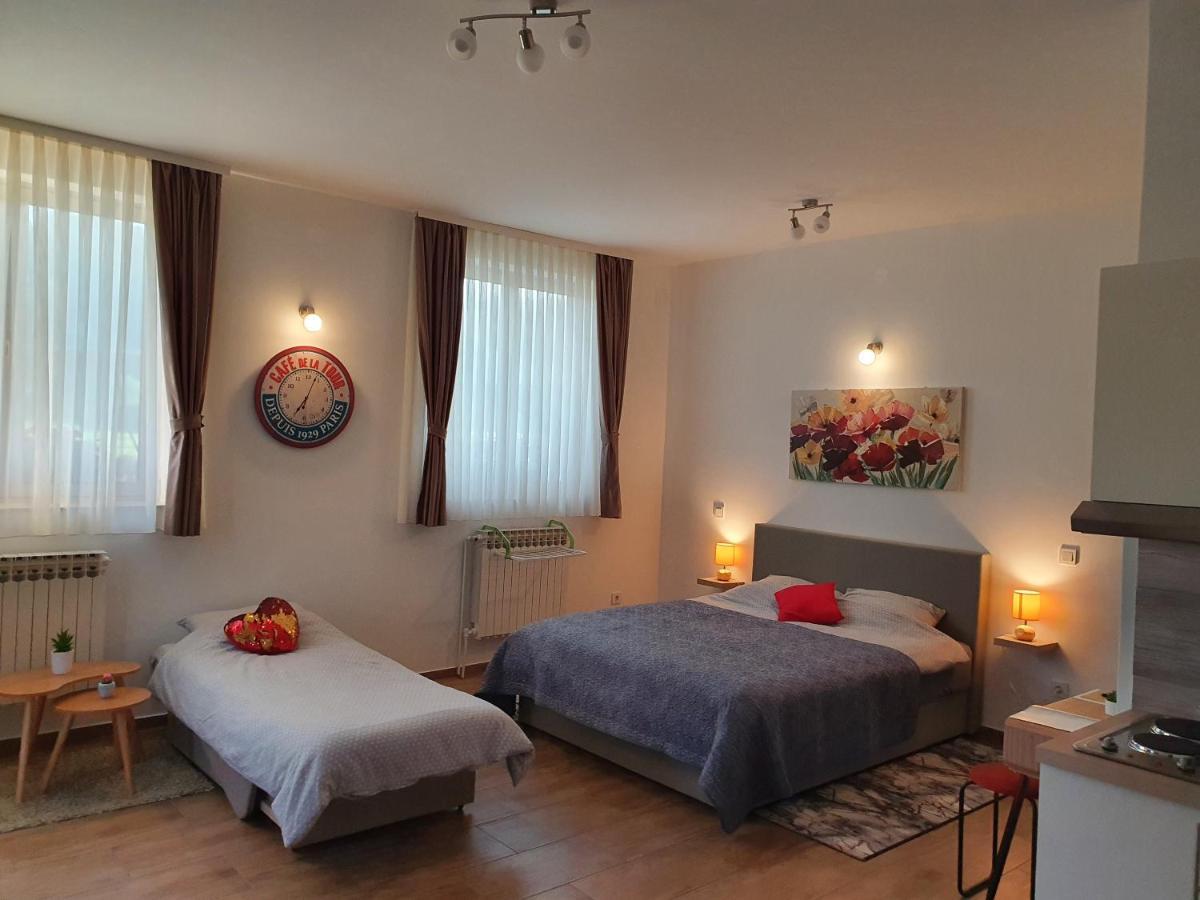 Studio Apartmani Toplicka Bajka 克拉平斯凯托普利采 外观 照片